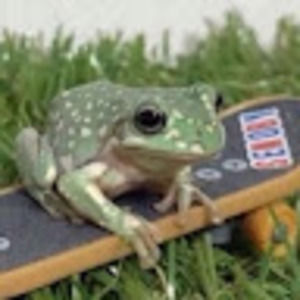 Meet your Posher, Jenna